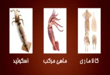 این نوع ماهی حاوی سرشار از پروتئین، انواع ویتامین های E، D، B2 و منیزیم است | توصیه پزشکان برای مصرف آن