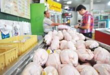 تخصیص سهمیه ویژه اقلام اساسی برای استان های مسافرپذیر