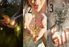 تست شخصیت شناسی | با انتخاب عکس جذاب ببین چه چیزی شادی واقعی برات میاره