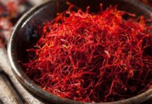 زعفران تقلبی را بشناسید!
