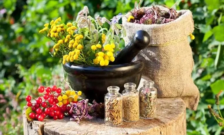 گیاهی زیبا که مسکن طبیعی ، تقویت کننده حافظه و سرشاز از ویتامین C، مس و منگنز است