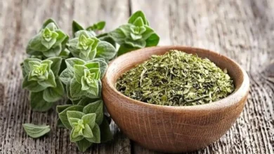 ۳ قاشق چایخوری از این گیاه درمانگر گرفتگی‌های قاعدگی و آنتی‌اکسیدانی، ضدالتهابی، ضد میکروبی، ضد نفخ، ادرارآور، معرق و خلط آور است