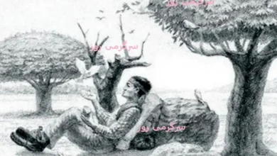 اگه چشمای تیزبینی داری تو ۱۵ ثانیه اسب و پیدا کن | تست شخصیت شناسی