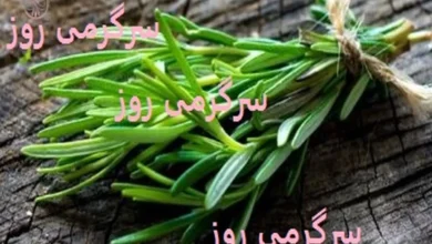 این گیاه مردانه تمام امراض را درمان می کند
