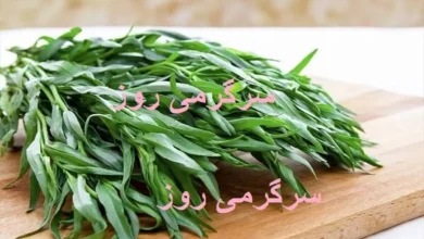 به جای نمک از این سبزی استفاده کنید سالم و بدون ضرر