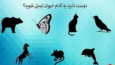 بگو دوست داری کدوم حیوون بشی تا بگم چقدر قدرت داری | تست روانشناسی