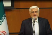 عارف: هیچ الحاق و ادغامی در سازمان محیط زیست منطقی نیست
