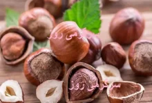 مصرف روزانه ۵ عدد از این مغز فشار خون را تنظیم می کند