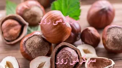 مصرف روزانه ۵ عدد از این مغز فشار خون را تنظیم می کند