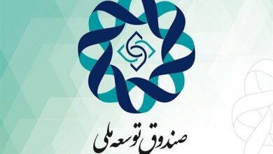 موافقت رهبر انقلاب با پیشنهاد پزشکیان درباره سهم صندوق توسعه ملی