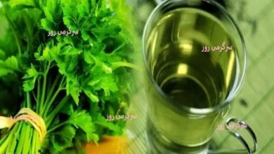 نابودگر سنگ کلیه کشف شد | دم‌کرده این سبزی ناشتا سنگ کلیه رو پودر می‌کنه